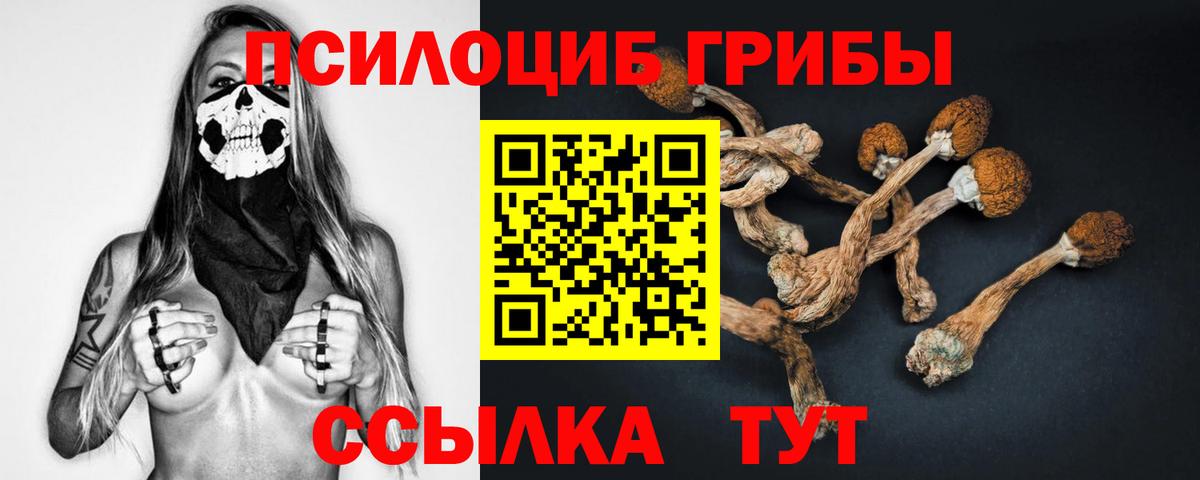 Псилоцибиновые грибы мицелий  Псилоцибиновые грибы прущие грибы  Вход с VPN  Казань 